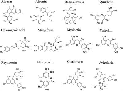 Natural products for the treatment and management of diabetes mellitus in Zimbabwe-a review